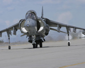 Harrier